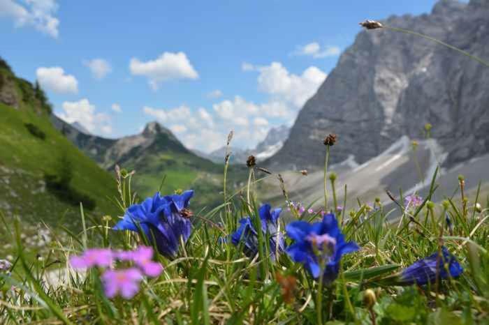Appartmenthaus Birkenwald Seefeld in Tirol Exterior foto